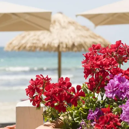 Conchiglia Azzurra & Ξενοδοχείο Porto Cesareo