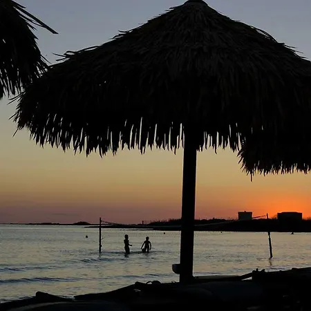 Conchiglia Azzurra & Porto Cesareo
