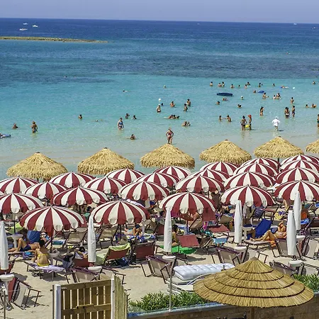 Conchiglia Azzurra &