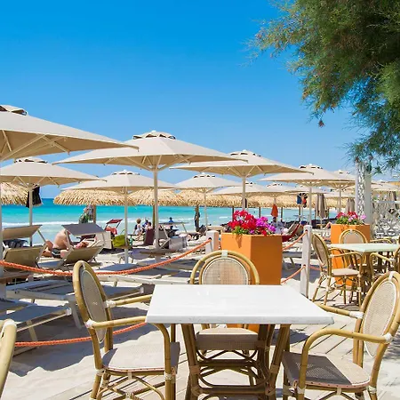 Conchiglia Azzurra Hotel&beach