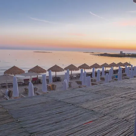 Conchiglia Azzurra &