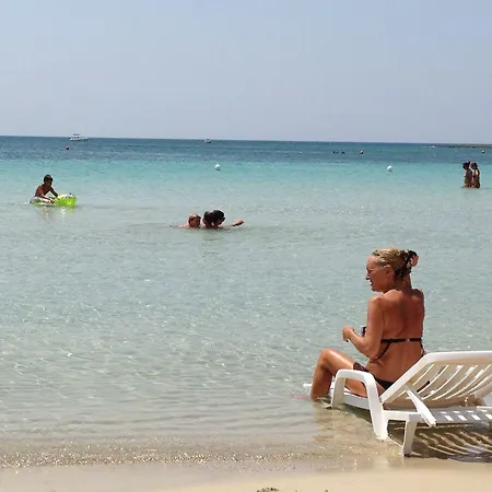 Conchiglia Azzurra &