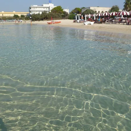 Conchiglia Azzurra & 4*