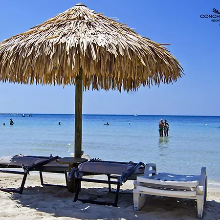 מלון Conchiglia Azzurra &