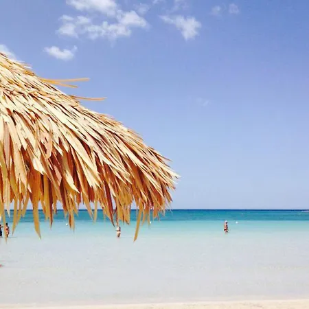 Conchiglia Azzurra & 4* פורטו צ'זראו