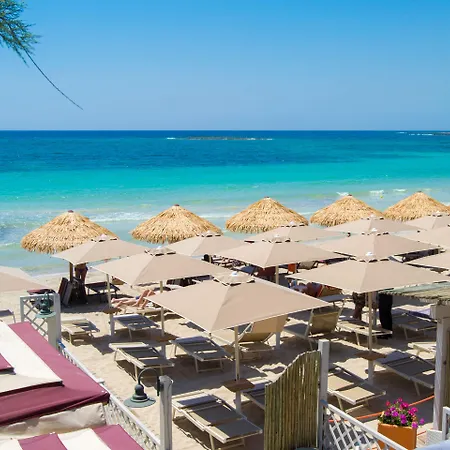 Conchiglia Azzurra & 4* פורטו צ'זראו