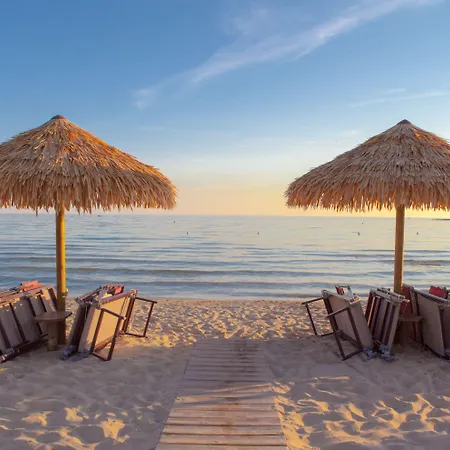 Conchiglia Azzurra &