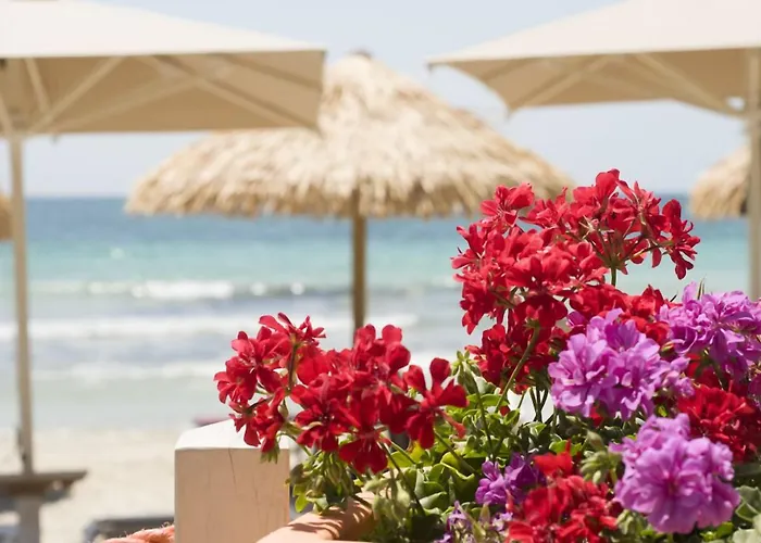 Conchiglia Azzurra Hotel&beach Hotel Porto Cesareo