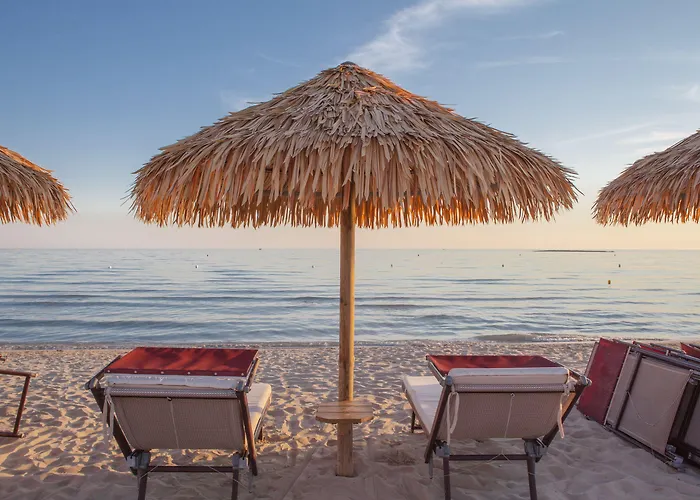 Conchiglia Azzurra Hotel&beach Hotel